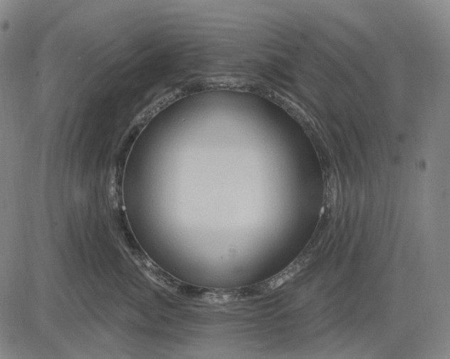 X0000083040764200702161706