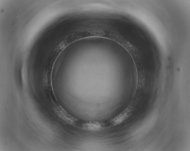 X0000083040765200702161706