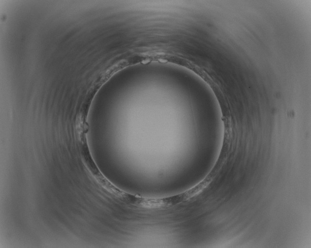 X0000083040767200702161706