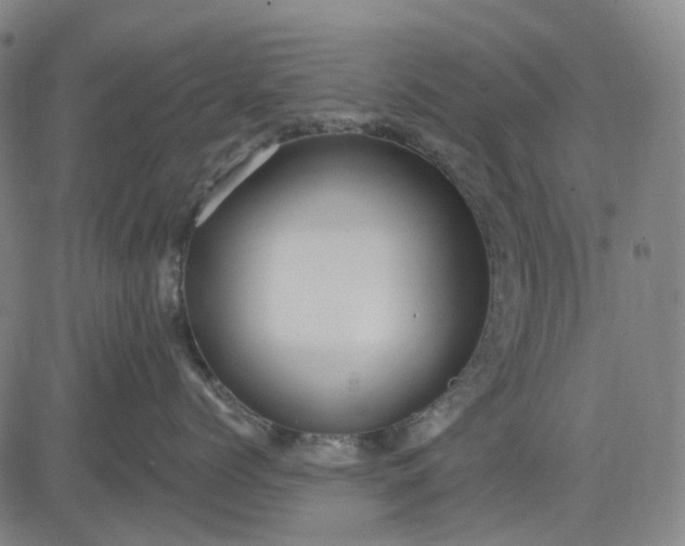 X0000083040768200702161706