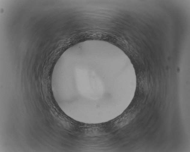 X0000083040769200702161705