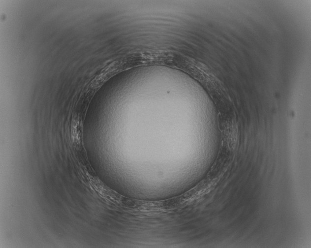 X0000083040770200702161705