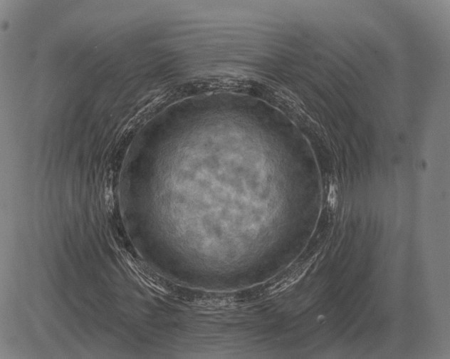 X0000083040771200702161705