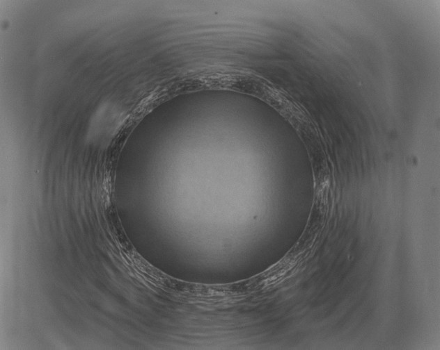 X0000083040772200702161705