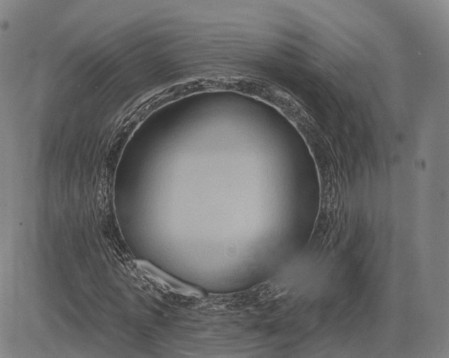 X0000083040773200702161705