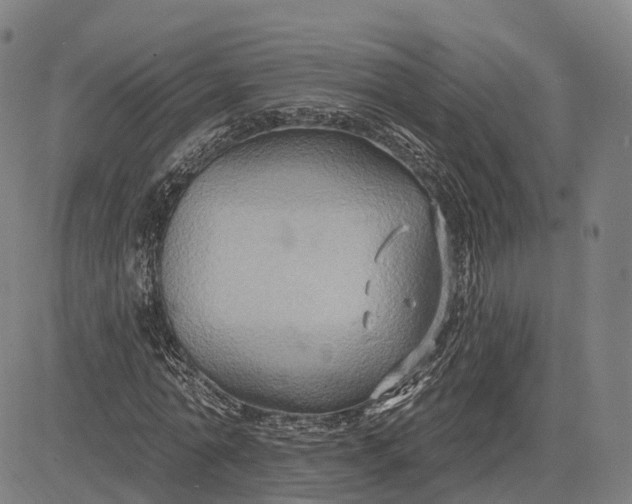 X0000083040774200702161705