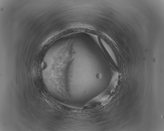 X0000083040775200702161705