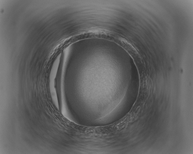 X0000083040776200702161705