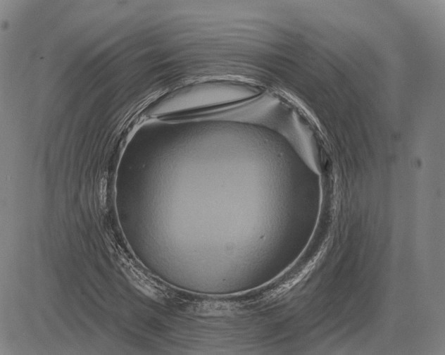 X0000083040777200702161705