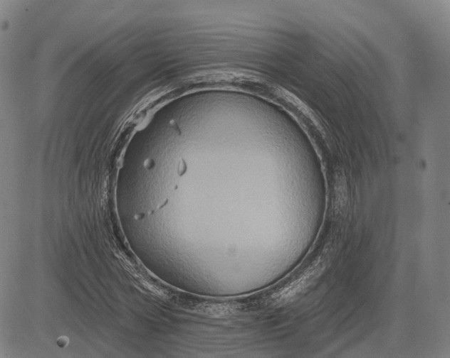 X0000083040778200702161705