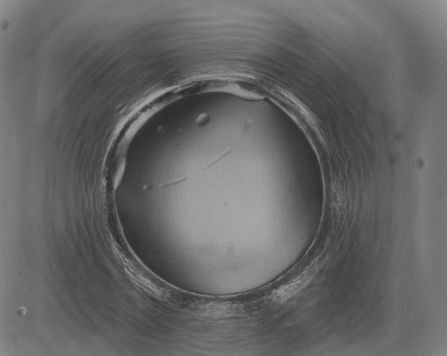 X0000083040779200702161705