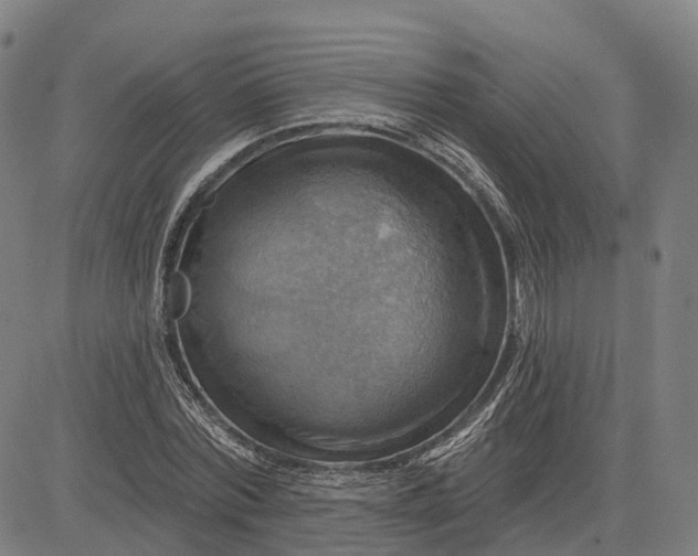 X0000083040780200702161705