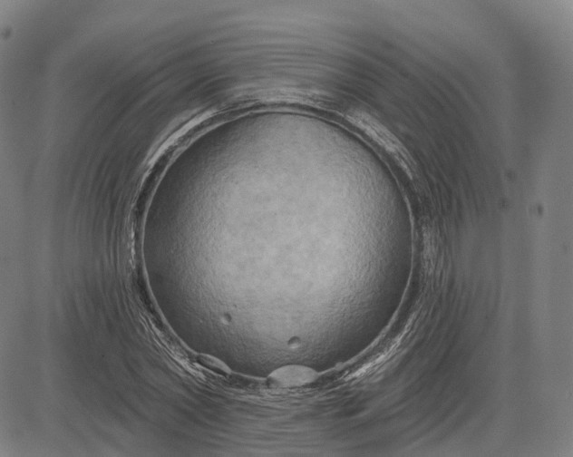 X0000083040782200702161705