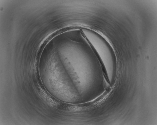 X0000083040783200702161705