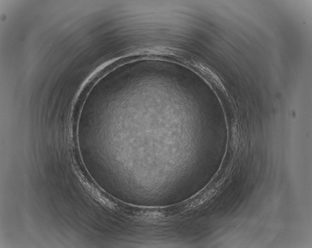 X0000083040784200702161705