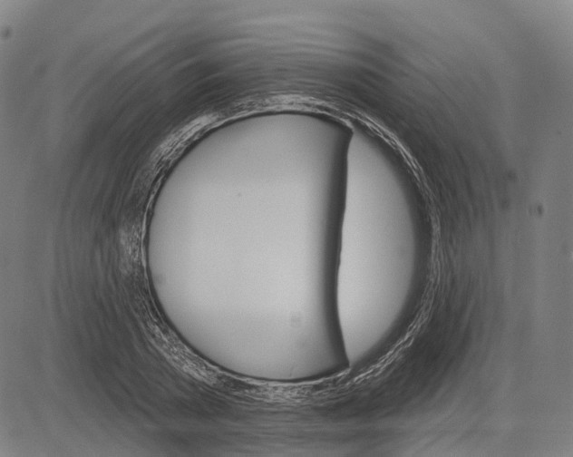 X0000083040785200702161705