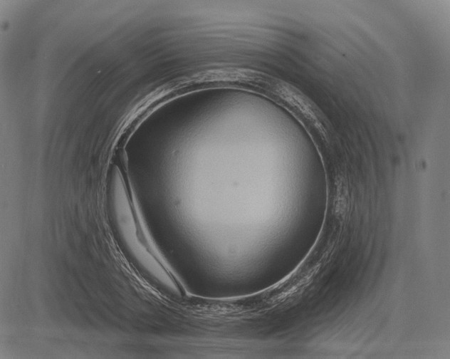 X0000083040786200702161705