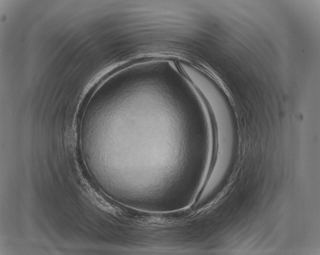 X0000083040787200702161705