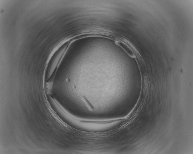 X0000083040788200702161705