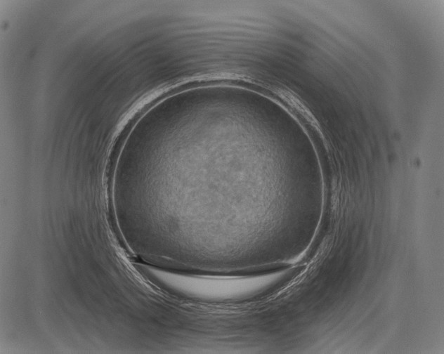 X0000083040789200702161705