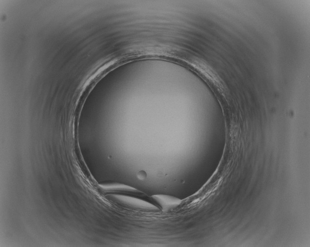 X0000083040790200702161705