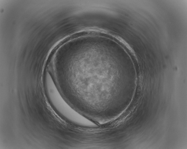 X0000083040791200702161705