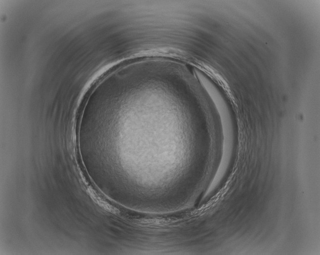 X0000083040792200702161705