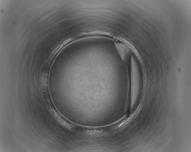 X0000083040793200702161705