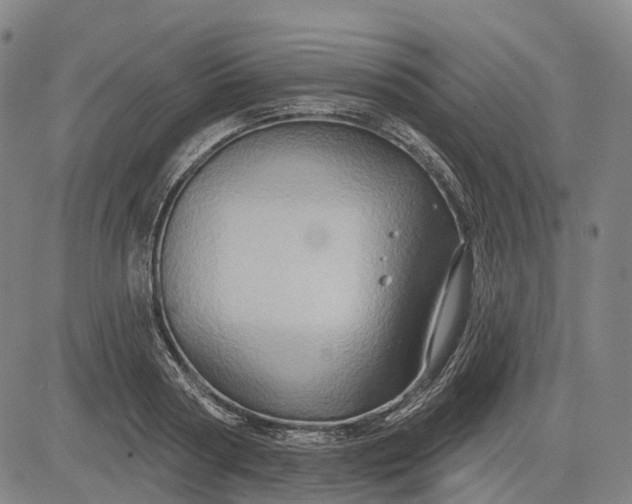 X0000083040794200702161705