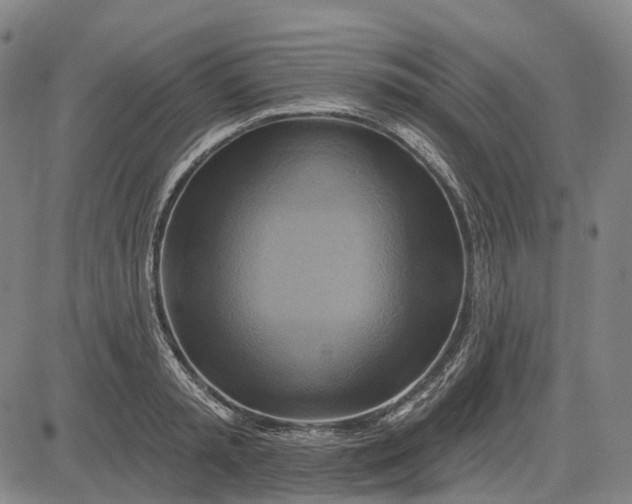 X0000083040797200702161705