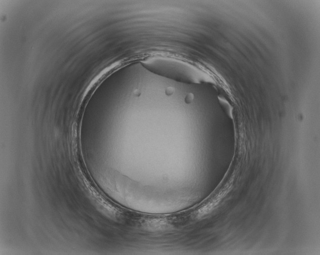 X0000083040798200702161705