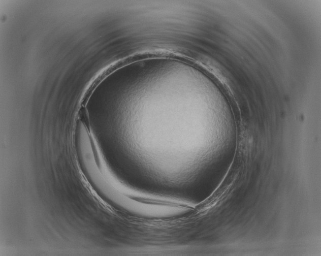 X0000083040799200702161705