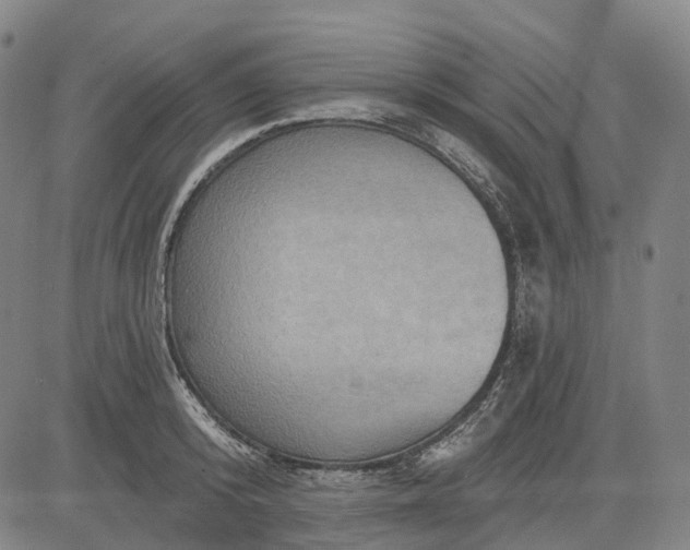 X0000083040800200702161705