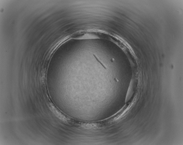 X0000083040801200702161705