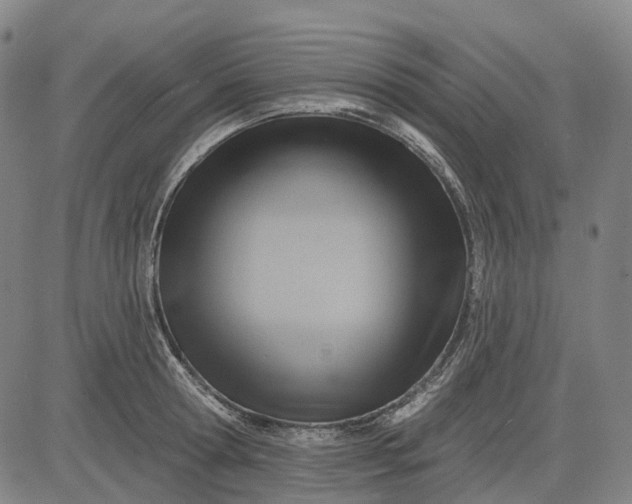 X0000083040802200702161705