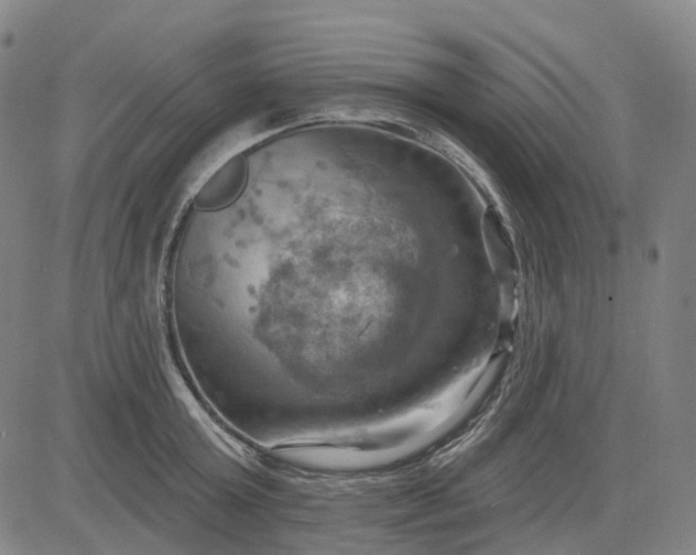 X0000083040803200702161705