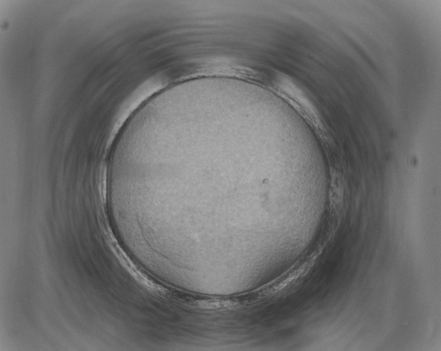 X0000083040804200702161705