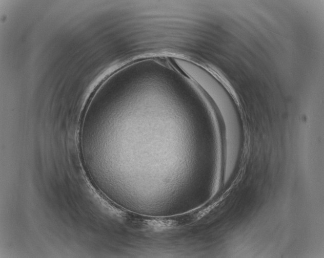 X0000083040805200702161705