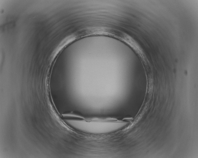 X0000083040806200702161705