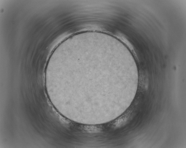 X0000083040807200702161705