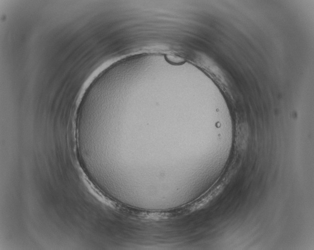 X0000083040808200702161705