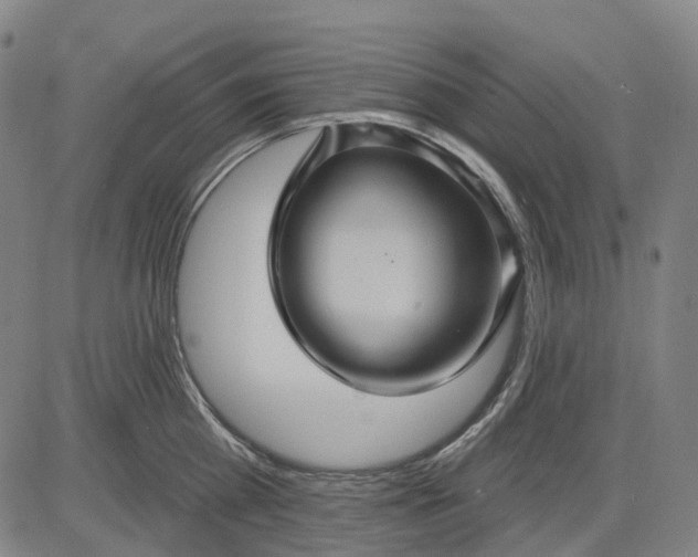 X0000083040809200702161705