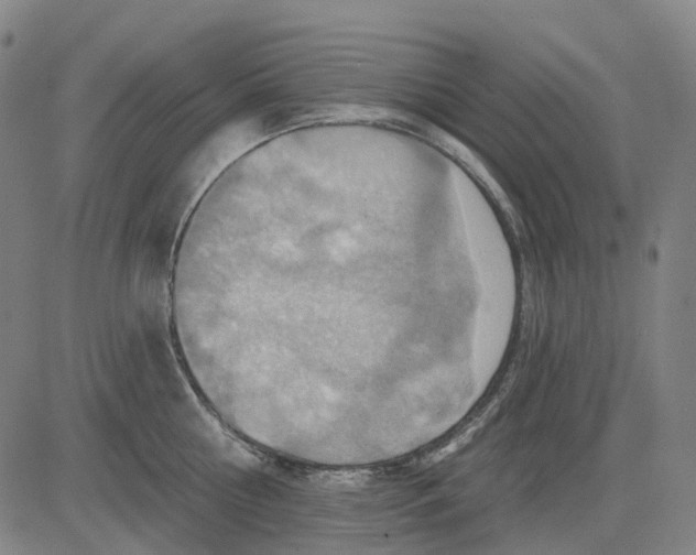 X0000083040810200702161705