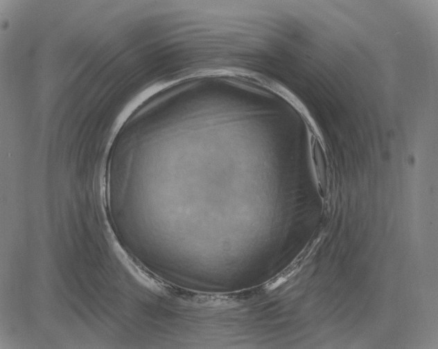 X0000083040811200702161705