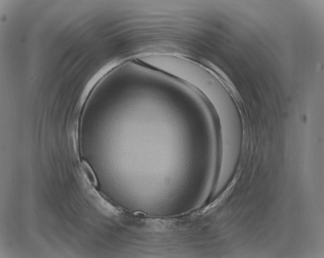 X0000083040812200702161705