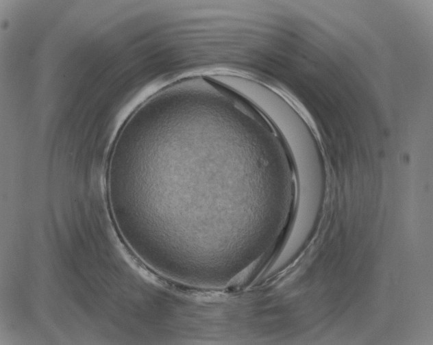 X0000083040813200702161705