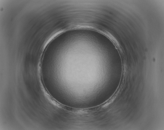 X0000083040814200702161705