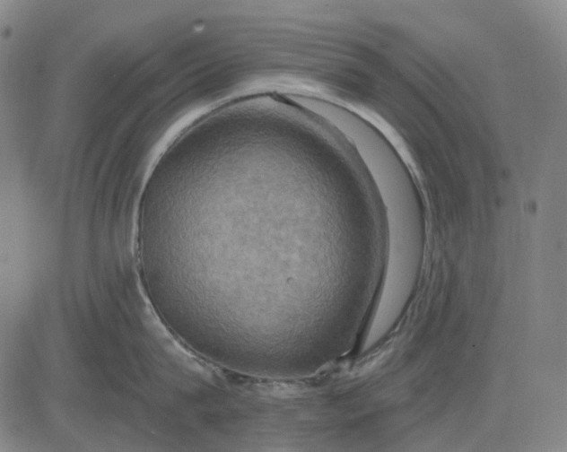 X0000083040815200702161705