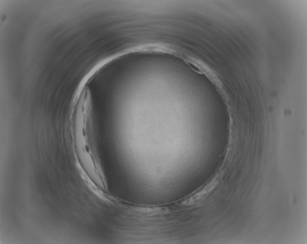 X0000083040816200702161705