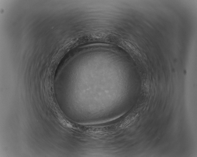 X0000083040817200702161704